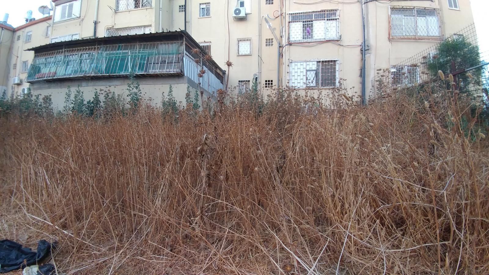 ''חוששים שתהיה פה שריפה'', מספרים השכנים (צילום: דני בלר)